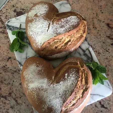 Freihof Feriegård Westendorf