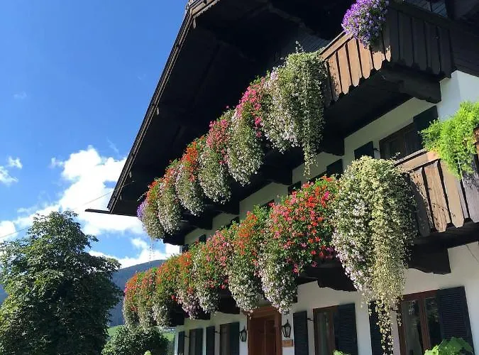 Freihof وستندورف