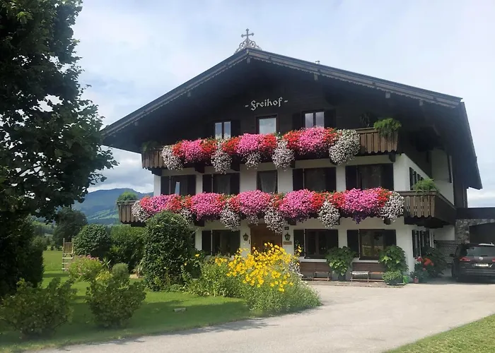 Freihof *